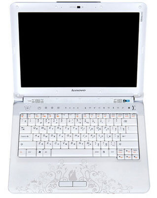 Замена петель на ноутбуке Lenovo IdeaPad Y330